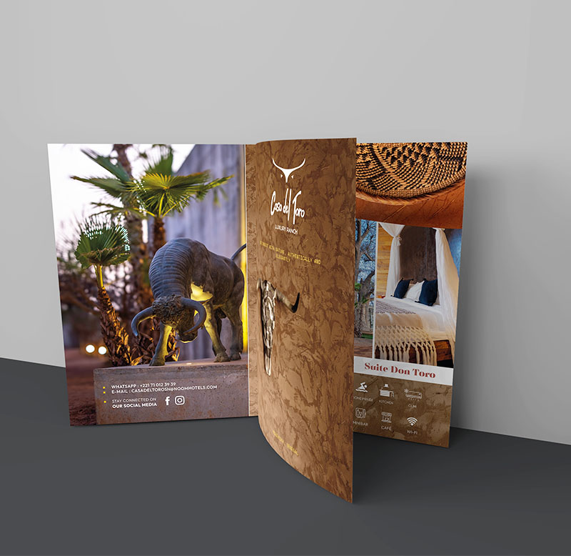 Print Moderne Brochure Catalogue